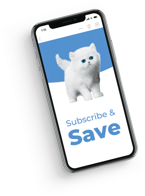 Cellphone with a cat